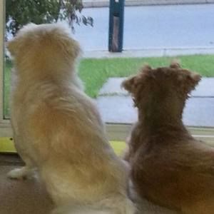 Meet your Posher, Deana